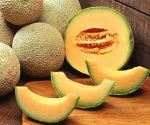 哈密瓜