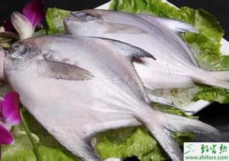 養(yǎng)殖淡水白鯧的日常管理經(jīng)驗(yàn)