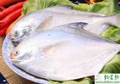 養(yǎng)殖淡水白鯧越冬期間斜管蟲病車輪蟲病的防治