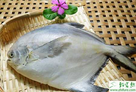 養(yǎng)殖淡水白鯧高溫季節(jié)的注意事項(xiàng)