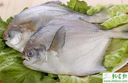 養(yǎng)殖淡水白鯧口腔下頜癤的防治