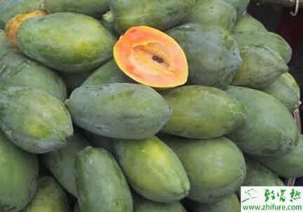 種木瓜褐腐病防治