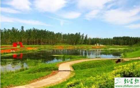 淺析最新生態農業經營模式