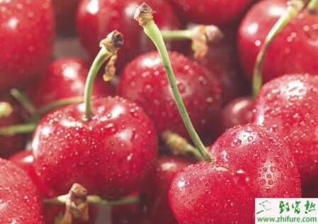 種櫻桃不結(jié)果咋辦