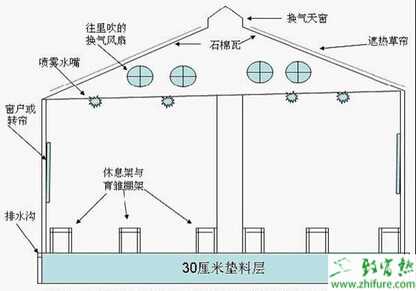 養雞大棚怎么建？養雞大棚骨架設計方案