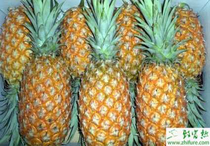 菠蘿凋萎病和日灼病的綜合防治