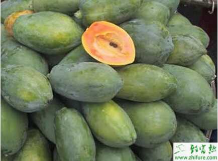 種木瓜抗寒保護措施