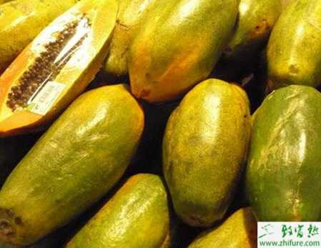 種木瓜的栽培管理技術