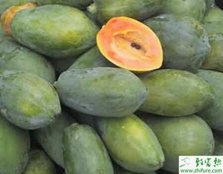 種木瓜的花葉病毒病的防治