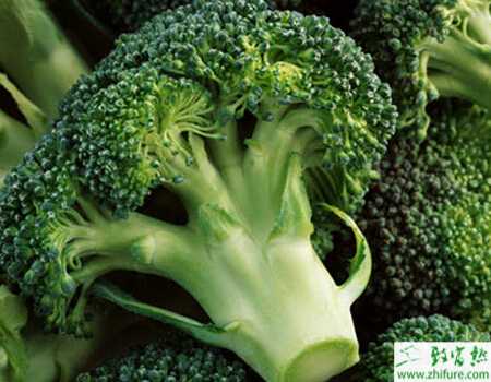 花椰菜施肥和肥水管理