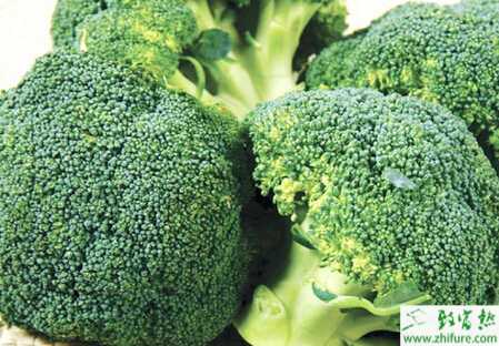 西蘭花病蟲害防治