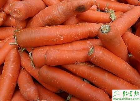 胡蘿卜的加工與儲存