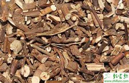 種柴胡高產(chǎn)套種栽培