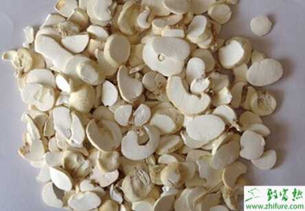 白芷的栽培經(jīng)驗