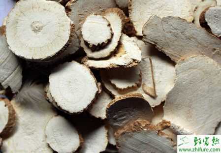 進行田間管理白芷有方法