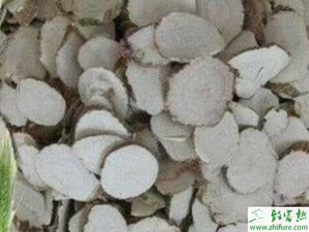 種白芷減少抽薹產(chǎn)量高