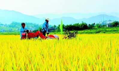 回農村創業參考項目謹防以下項目