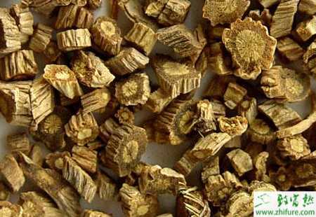 如何高產栽培防風