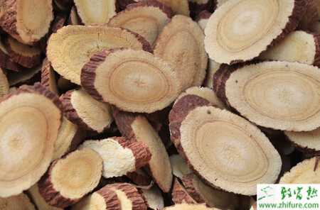 種甘草栽培經驗