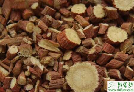 種甘草病害防治方法