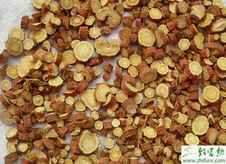 種甘草繁殖方法