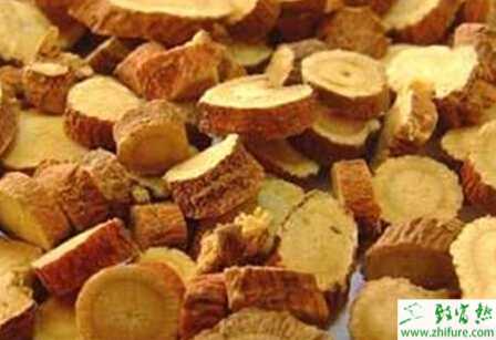 種甘草育苗技術(shù)