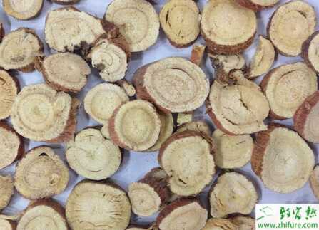 高產(chǎn)種植甘草的技術(shù)關(guān)鍵