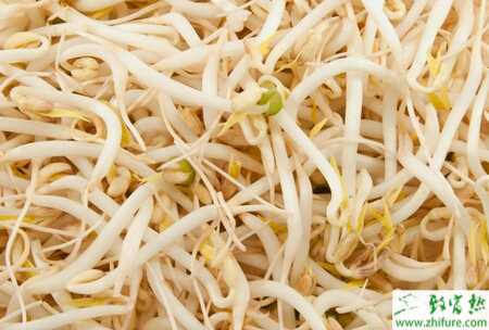 豆芽大棚的高產栽培管理技術