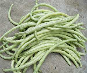豇豆
