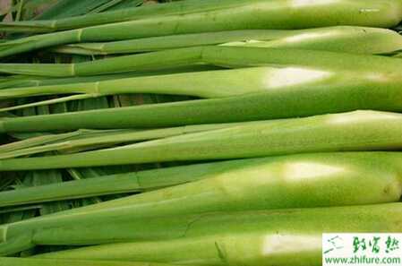 單季茭白規范化栽培技術