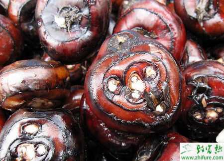 荸薺球莖灰霉病的癥狀及防治