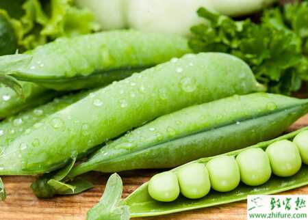 荷蘭豆怎么栽培能高產(chǎn)