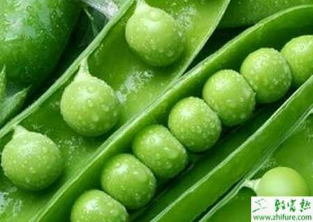 荷蘭豆黑斑病的病癥及防治