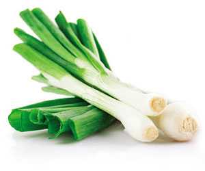 大蔥