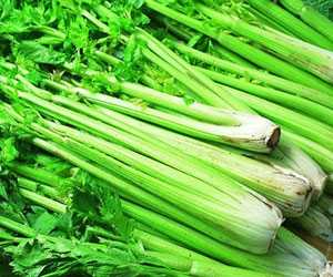 芹菜