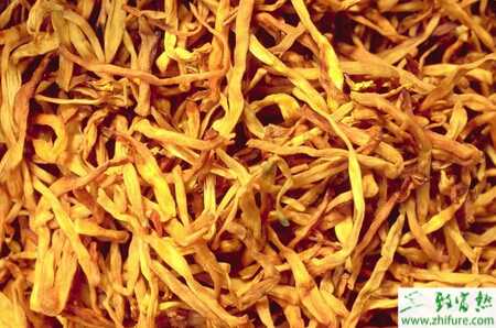 黃花菜的科學(xué)施肥技術(shù)