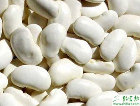 蕓豆病毒病的綜合防治