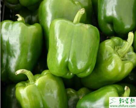 青椒猝倒病癥狀及防治方法