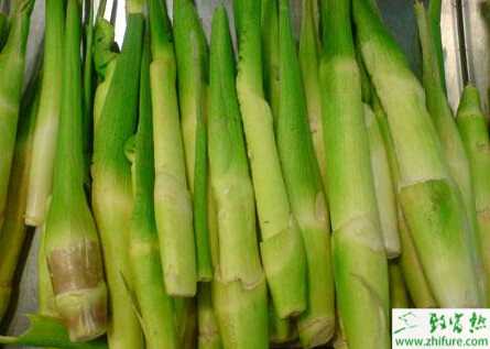 茭白胡麻斑病如何防治