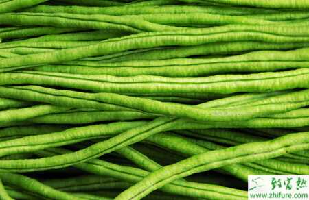 豇豆科學施肥技術規范