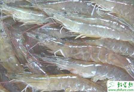 養河蝦的市場前景