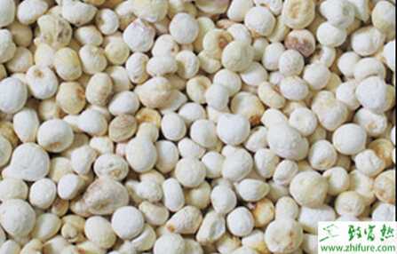 半夏常見三大病害的防治