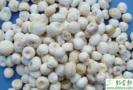 半夏如何栽培才能高產(chǎn)