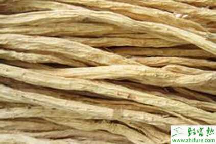 黨參兩大病害的防治