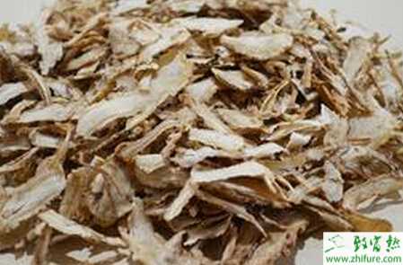 當歸三大常見病害的防治