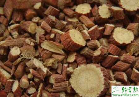 甘草的品種分類和栽培方式