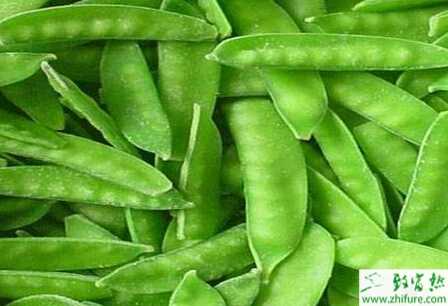 扁豆規范化栽培高產技術