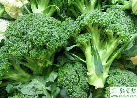 西蘭花各時期的田間管理技術