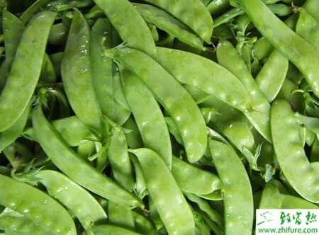 荷蘭豆如何科學(xué)施肥