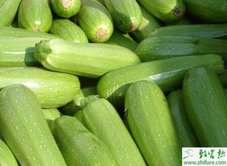 西葫蘆畸形果的成因及防治